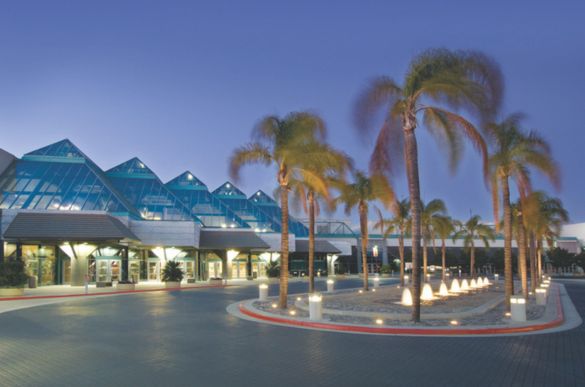 a palm trees in front of a building