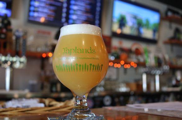 a glass of beer on a bar counter