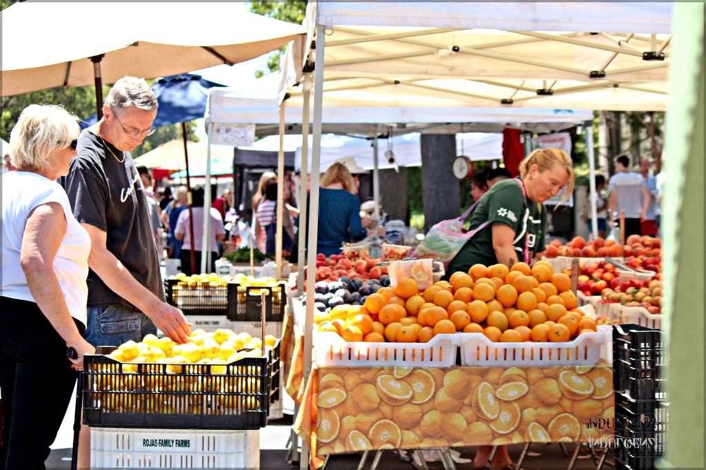 Santa Clara Farmers Market