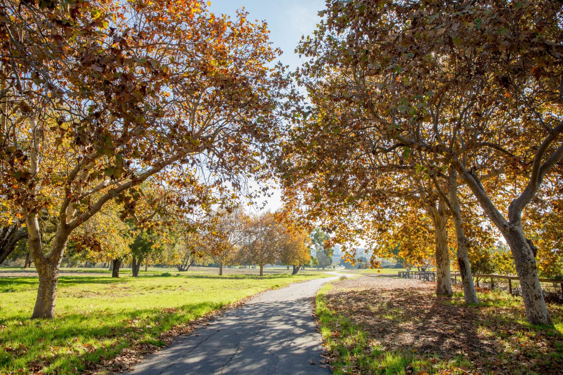 Guadalupe River Trail