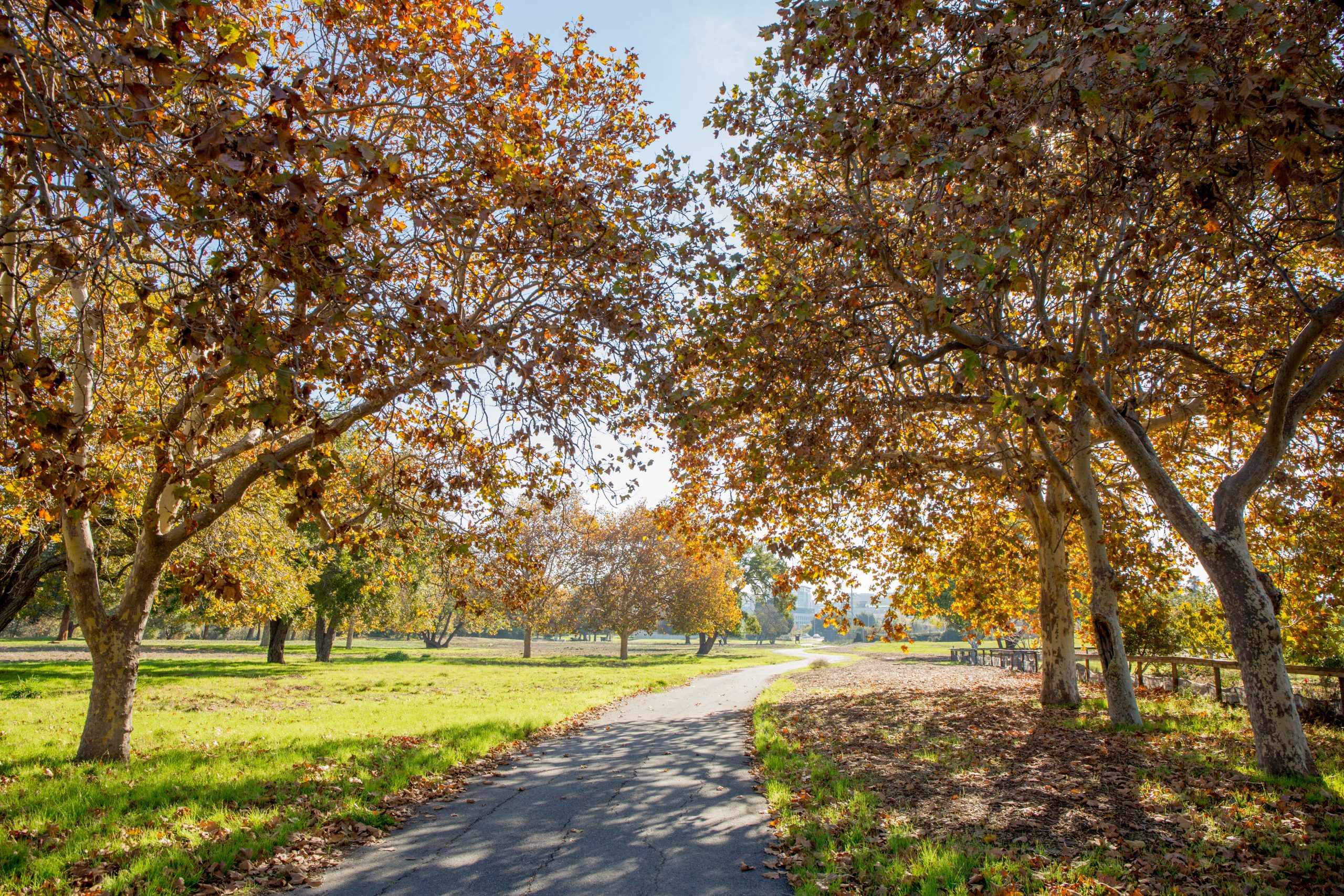 Guadalupe River Trail